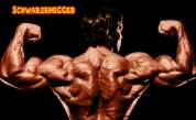 Foto de Arnold Schwarzenegger