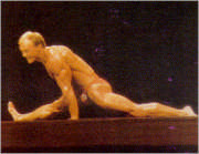La flexibilidad II